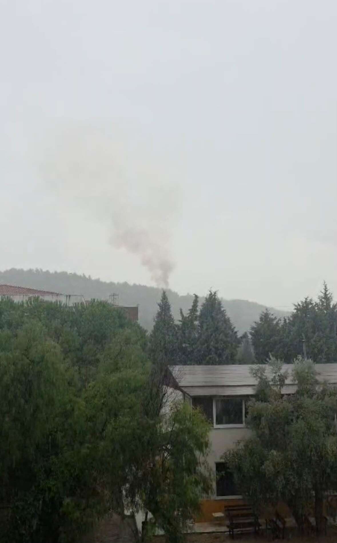 Milas'ta Orman Yangını Başladı 3